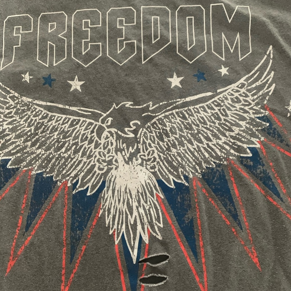 VICI Freedom Eagle Distressed Cotton Tee L - Picture 5 of 7